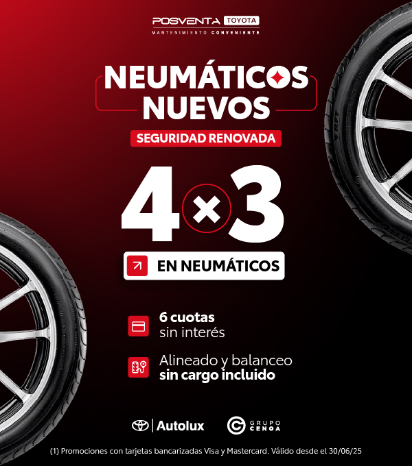 C- NEUMATICOS 4X3- LUX - PVT